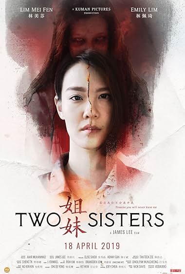 Download Two Sisters (2019) WEB-DL Dual Audio {Hindi-Chinese} 480p [310MB] | 720p [890MB] | 1080p [2GB]